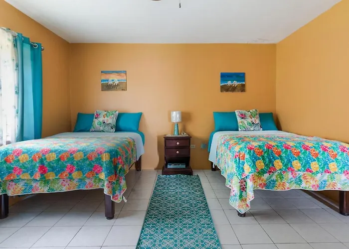Villa Yanceylargo- 4br Jacuzzi & Mountain Views Montego Bay