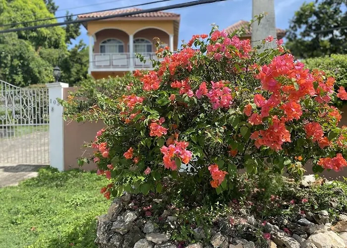 Yanceylargo- 4br Jacuzzi & Mountain Views Montego Bay